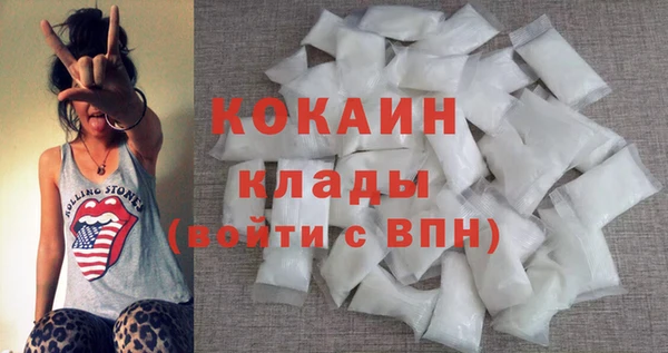 шишки Алексин