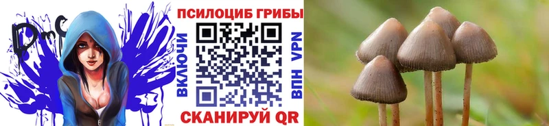 Купить закладки  Краснослободск  Псилоцибиновые грибы ЛСД 